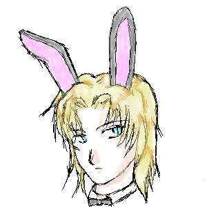 300 * 300 / 42365byte(.png)