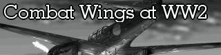 Combat Wings at WW2